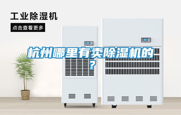 杭州哪里有賣除濕機的？