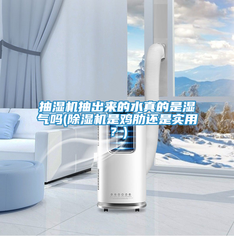 抽濕機(jī)抽出來的水真的是濕氣嗎(除濕機(jī)是雞肋還是實(shí)用？)