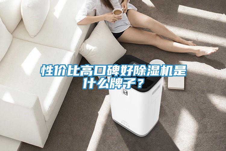 性價比高口碑好除濕機(jī)是什么牌子？