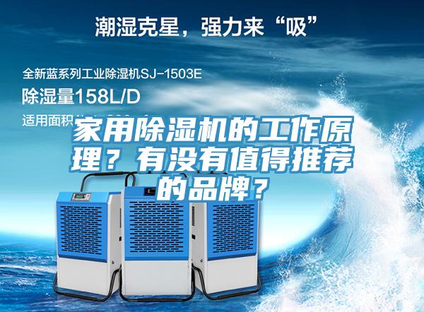 家用除濕機的工作原理？有沒有值得推薦的品牌？