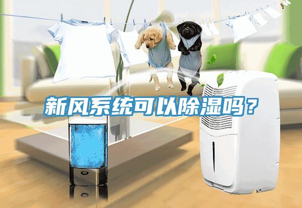 新風(fēng)系統(tǒng)可以除濕嗎？