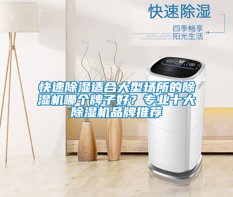 快速除濕適合大型場(chǎng)所的除濕機(jī)哪個(gè)牌子好？專業(yè)十大除濕機(jī)品牌推薦