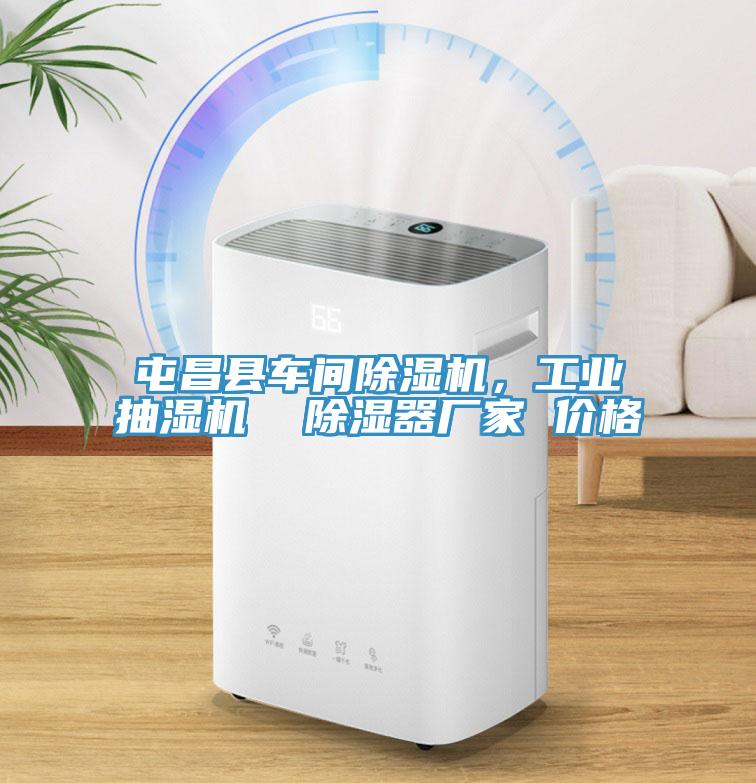 屯昌縣車間除濕機(jī)，工業(yè)抽濕機(jī)  除濕器廠家 價格