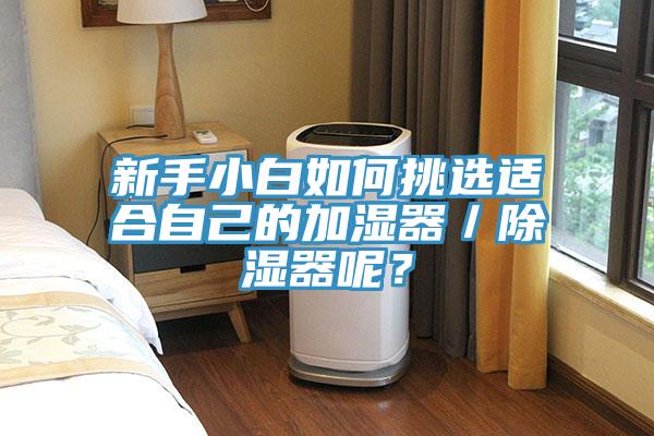 新手小白如何挑選適合自己的加濕器／除濕器呢？