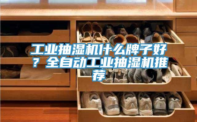 工業(yè)抽濕機(jī)什么牌子好？全自動(dòng)工業(yè)抽濕機(jī)推薦