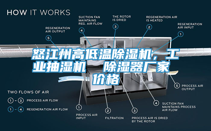 怒江州高低溫除濕機，工業(yè)抽濕機  除濕器廠家 價格