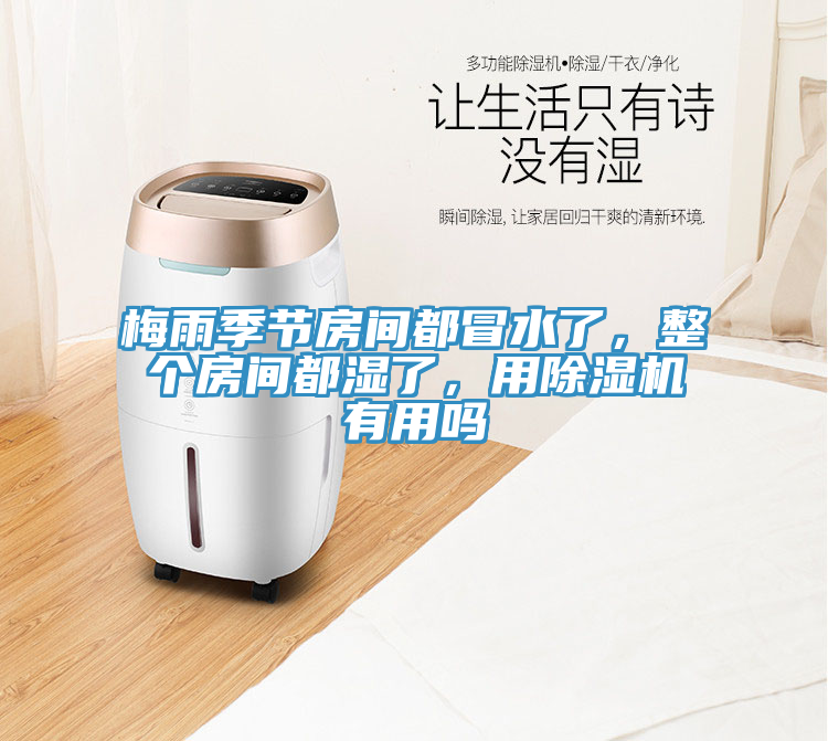 梅雨季節(jié)房間都冒水了，整個房間都濕了，用除濕機有用嗎