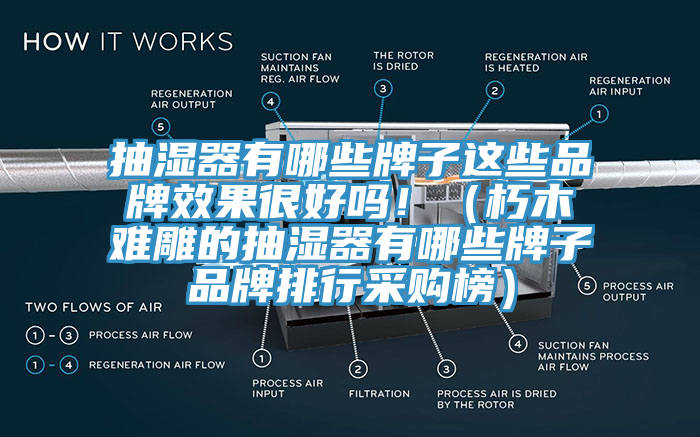 抽濕器有哪些牌子這些品牌效果很好嗎?。ㄐ嗄倦y雕的抽濕器有哪些牌子品牌排行采購榜）