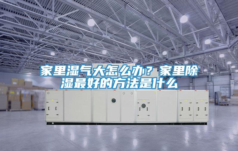 家里濕氣大怎么辦？家里除濕最好的方法是什么