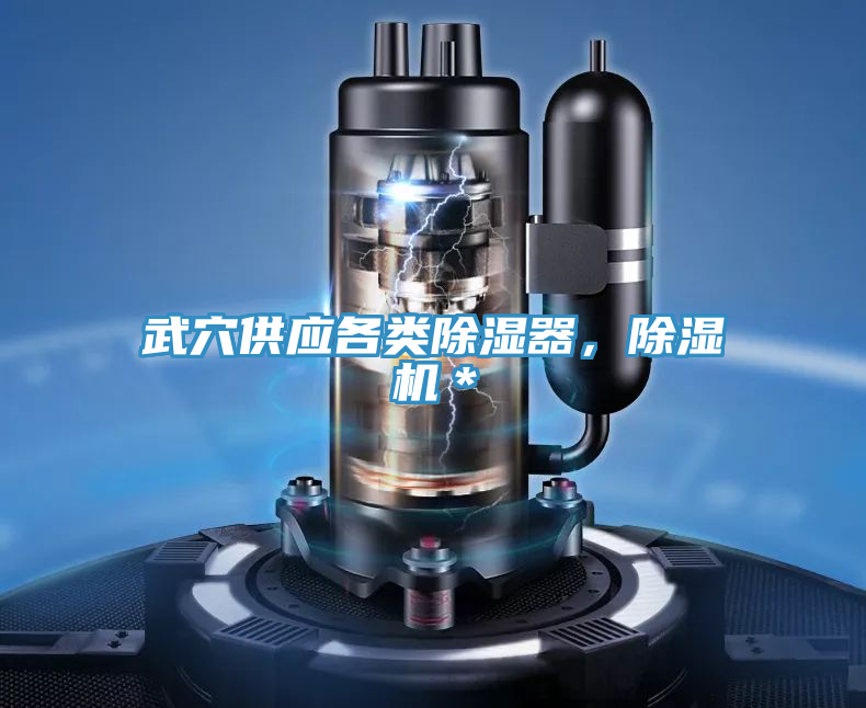 武穴供應(yīng)各類除濕器，除濕機(jī)＊