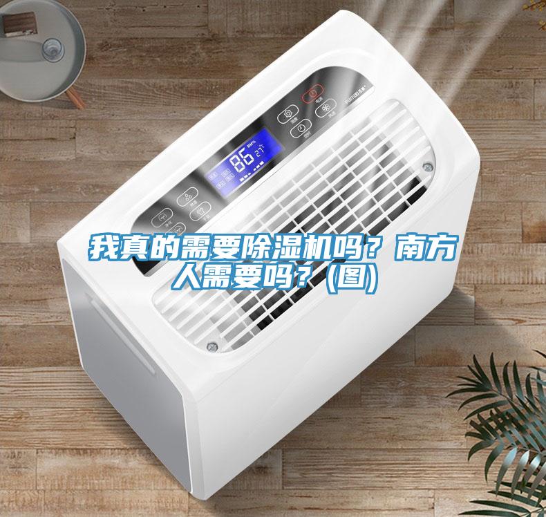 我真的需要除濕機(jī)嗎？南方人需要嗎？(圖)