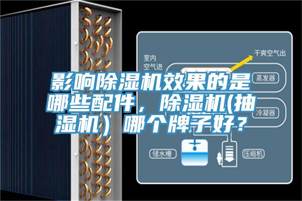 影響除濕機效果的是哪些配件，除濕機(抽濕機）哪個牌子好？