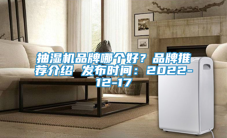 抽濕機(jī)品牌哪個(gè)好？品牌推薦介紹 發(fā)布時(shí)間：2022-12-17