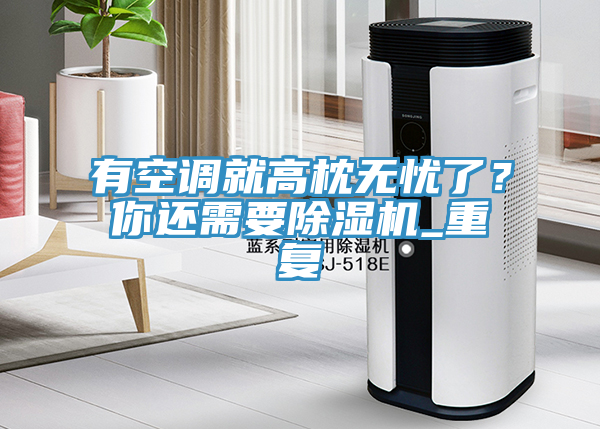 有空調就高枕無憂了？你還需要除濕機_重復