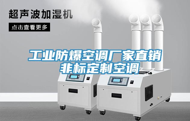 工業(yè)防爆空調(diào)廠家直銷(xiāo) 非標(biāo)定制空調(diào)