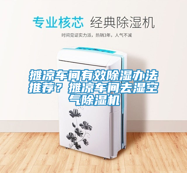 攤涼車間有效除濕辦法推薦？攤涼車間去濕空氣除濕機