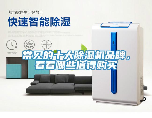 常見的十大除濕機品牌，看看哪些值得購買