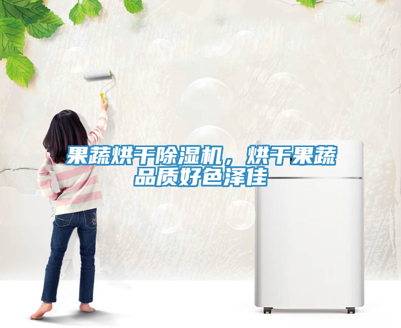 果蔬烘干除濕機，烘干果蔬品質(zhì)好色澤佳