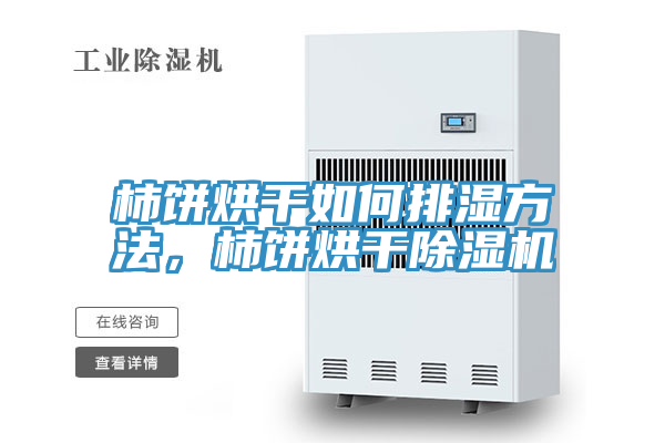 柿餅烘干如何排濕方法，柿餅烘干除濕機