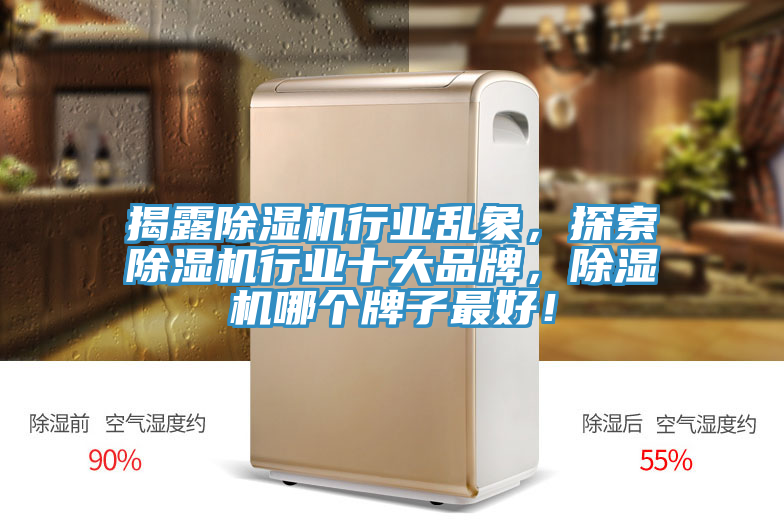 揭露除濕機行業(yè)亂象，探索除濕機行業(yè)十大品牌，除濕機哪個牌子最好！