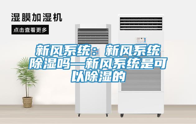 新風(fēng)系統(tǒng)：新風(fēng)系統(tǒng)除濕嗎—新風(fēng)系統(tǒng)是可以除濕的