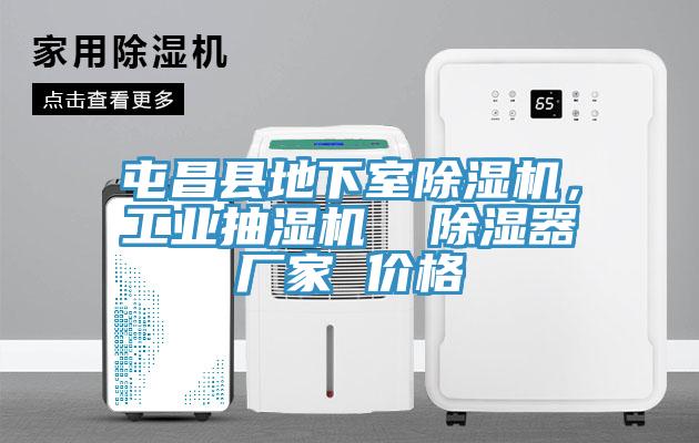屯昌縣地下室除濕機(jī)，工業(yè)抽濕機(jī)  除濕器廠家 價格