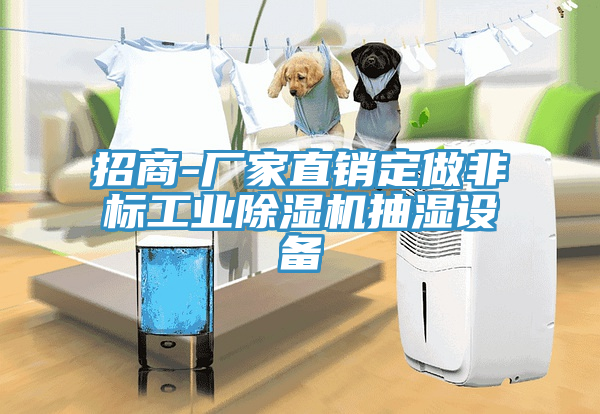 招商-廠家直銷(xiāo)定做非標(biāo)工業(yè)除濕機(jī)抽濕設(shè)備