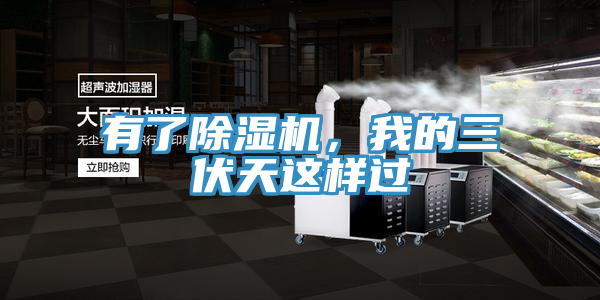 有了除濕機，我的三伏天這樣過
