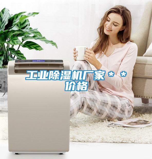 工業(yè)除濕機(jī)廠家＊＊價格