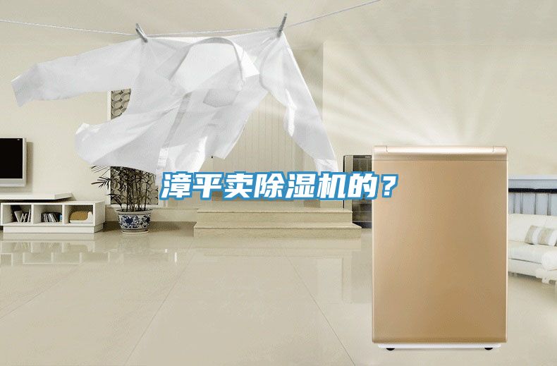 漳平賣除濕機(jī)的？