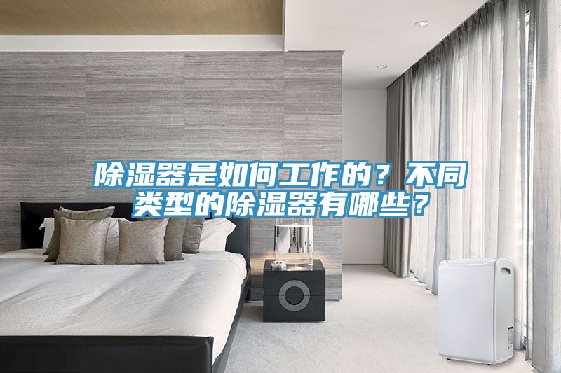 除濕器是如何工作的？不同類型的除濕器有哪些？