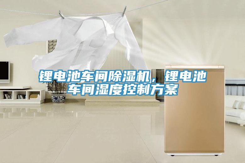 鋰電池車間除濕機(jī)，鋰電池車間濕度控制方案