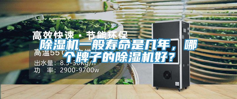 除濕機(jī)一般壽命是幾年，哪個(gè)牌子的除濕機(jī)好？