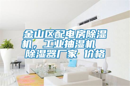 金山區(qū)配電房除濕機，工業(yè)抽濕機  除濕器廠家 價格