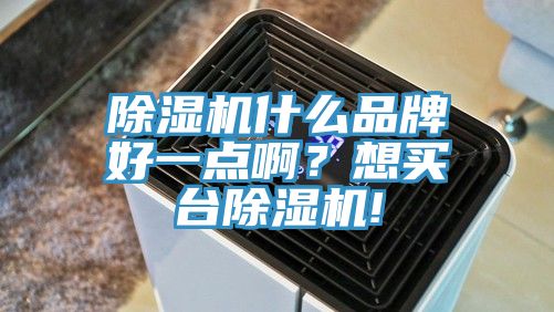 除濕機什么品牌好一點??？想買臺除濕機!