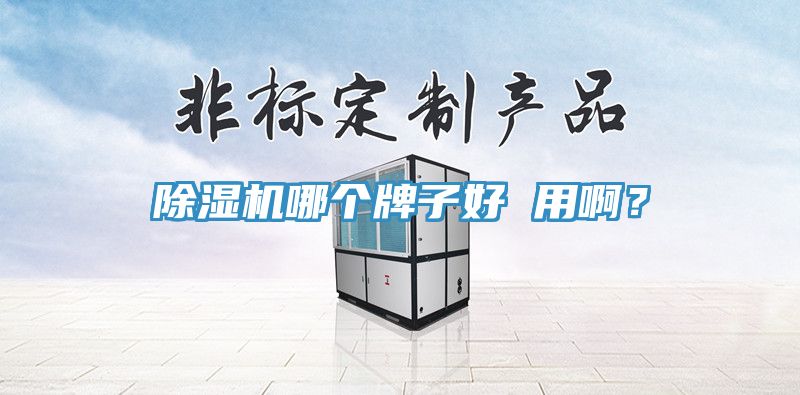 除濕機哪個牌子好 用?。?></div>
								<div   id=