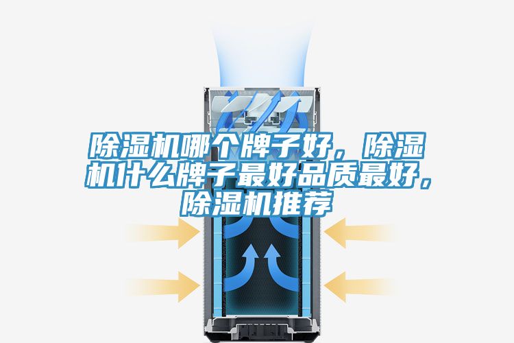 除濕機(jī)哪個(gè)牌子好，除濕機(jī)什么牌子最好品質(zhì)最好，除濕機(jī)推薦