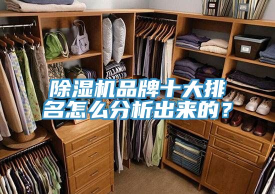 除濕機品牌十大排名怎么分析出來的？