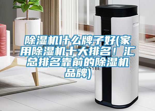 除濕機什么牌子好(家用除濕機十大排名！匯總排名靠前的除濕機品牌)