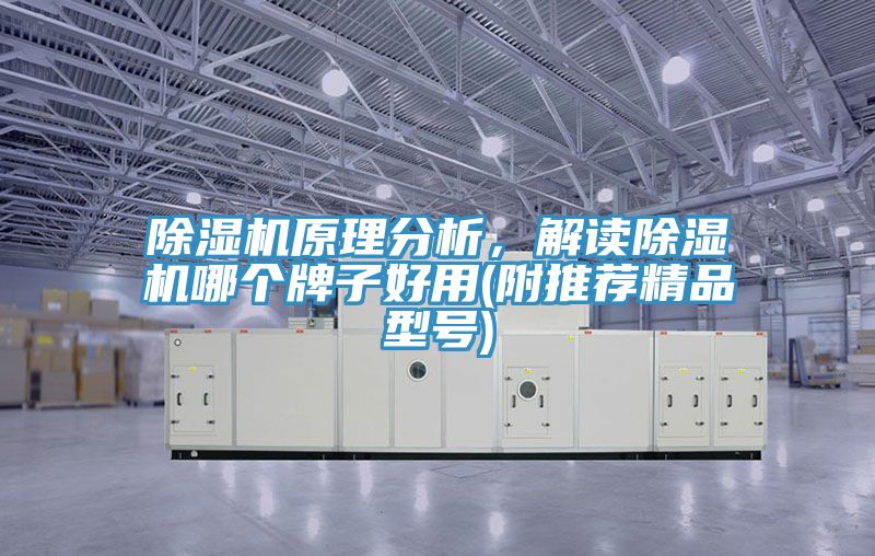除濕機原理分析，解讀除濕機哪個牌子好用(附推薦精品型號)