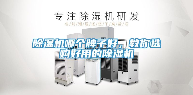 除濕機(jī)哪個(gè)牌子好，教你選購好用的除濕機(jī)