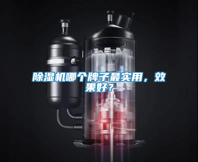 除濕機(jī)哪個(gè)牌子最實(shí)用，效果好？