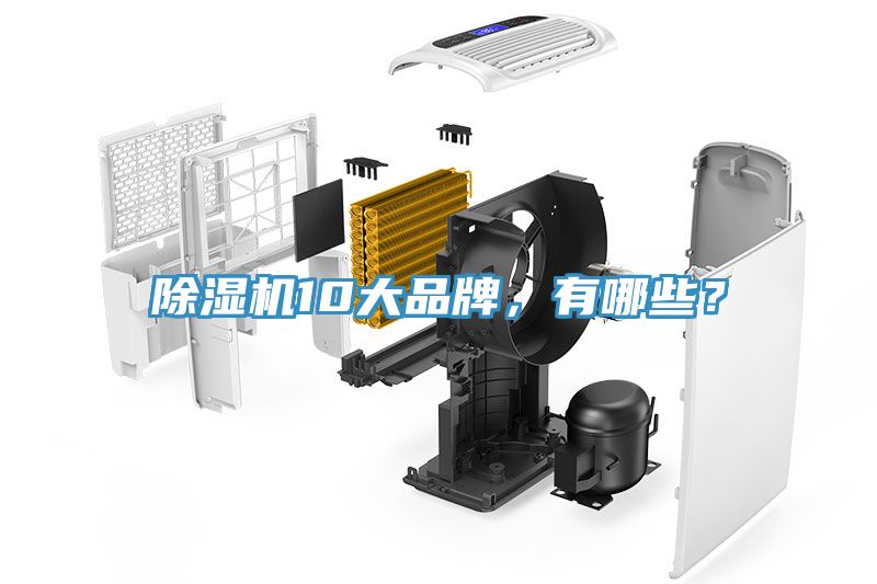 除濕機10大品牌，有哪些？