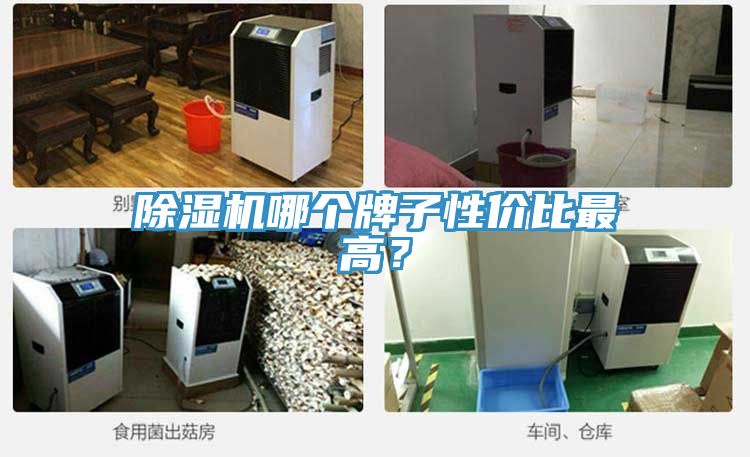 除濕機(jī)哪個(gè)牌子性價(jià)比最高？