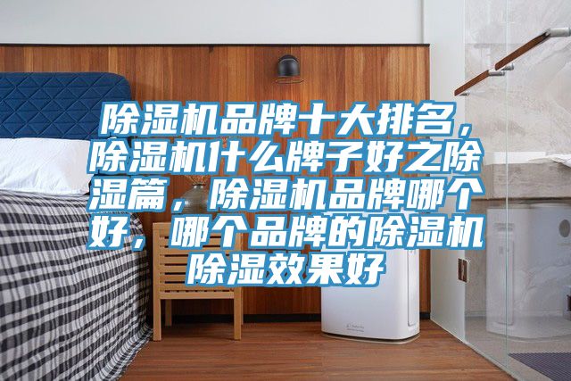 除濕機品牌十大排名，除濕機什么牌子好之除濕篇，除濕機品牌哪個好，哪個品牌的除濕機除濕效果好