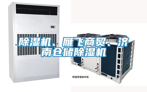 除濕機、雁飛商貿(mào)、濟南倉儲除濕機