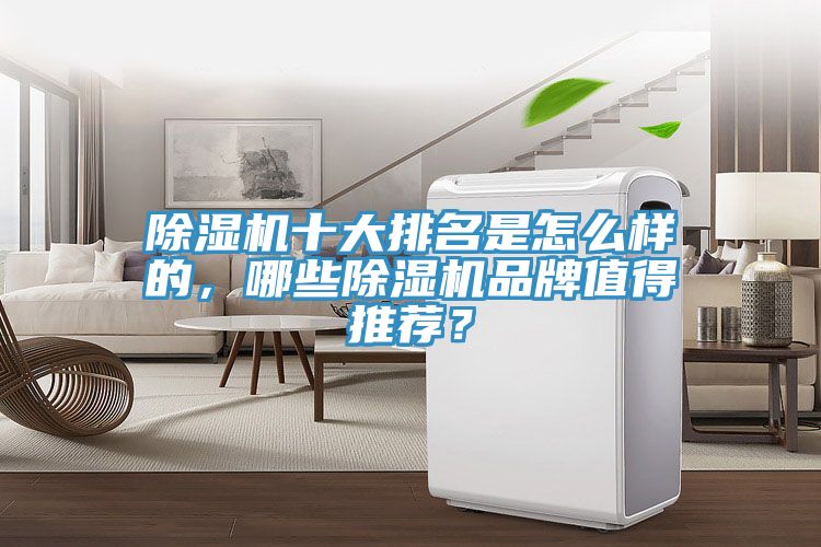 除濕機十大排名是怎么樣的，哪些除濕機品牌值得推薦？