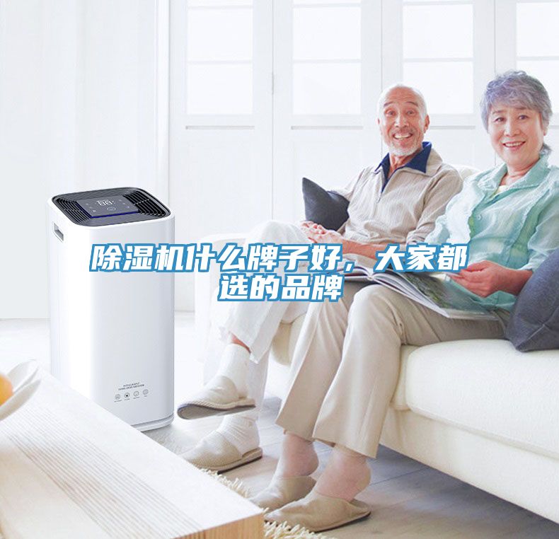 除濕機什么牌子好，大家都選的品牌