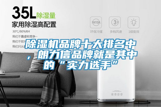 除濕機品牌十大排名中，朗力信品牌就是其中的“實力選手”