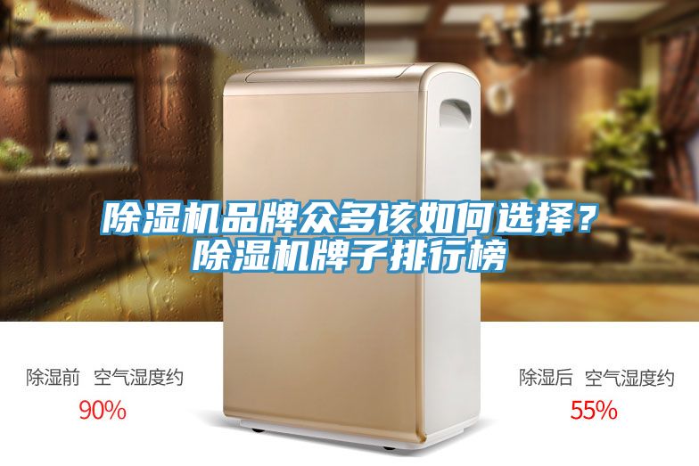 除濕機(jī)品牌眾多該如何選擇？除濕機(jī)牌子排行榜